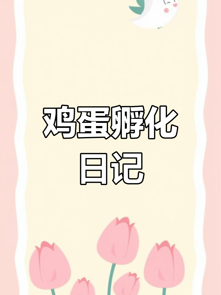 小鸡出壳全过程,200多颗蛋能孵多少?