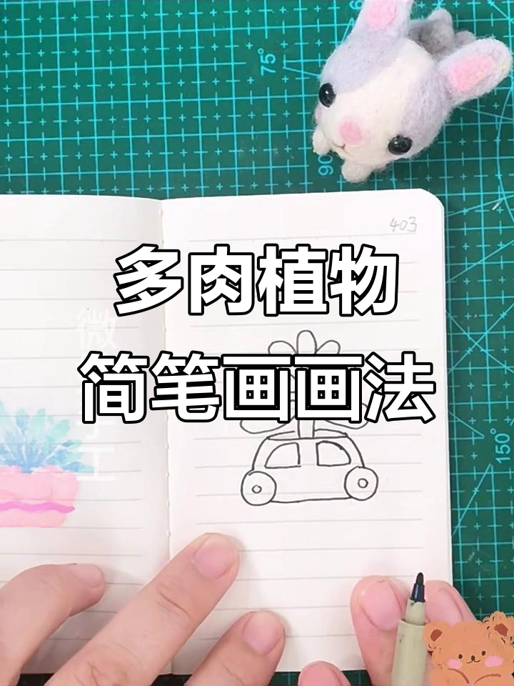 轻松学画多肉植物,简笔画教程