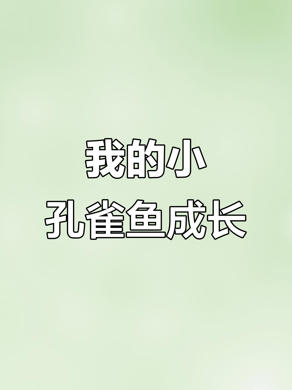 小孔雀鱼成长记:从尾巴变红到全身变色