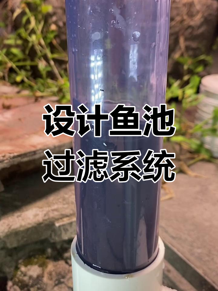 鱼池过滤系统设计,轻松种植水果蔬菜