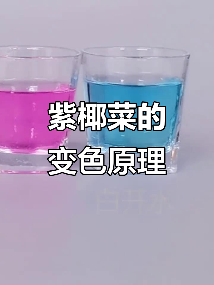 紫椰菜变色的秘密,竟然是这样实现的!