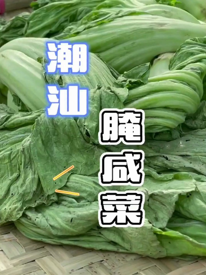  潮汕咸菜腌制法 - 做法超简单