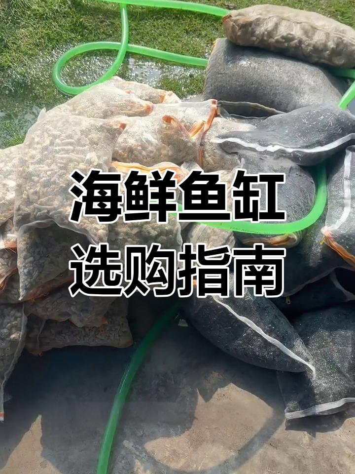 海鲜养殖入门,选对鱼缸至关重要,避免便宜但设计不合理的产品