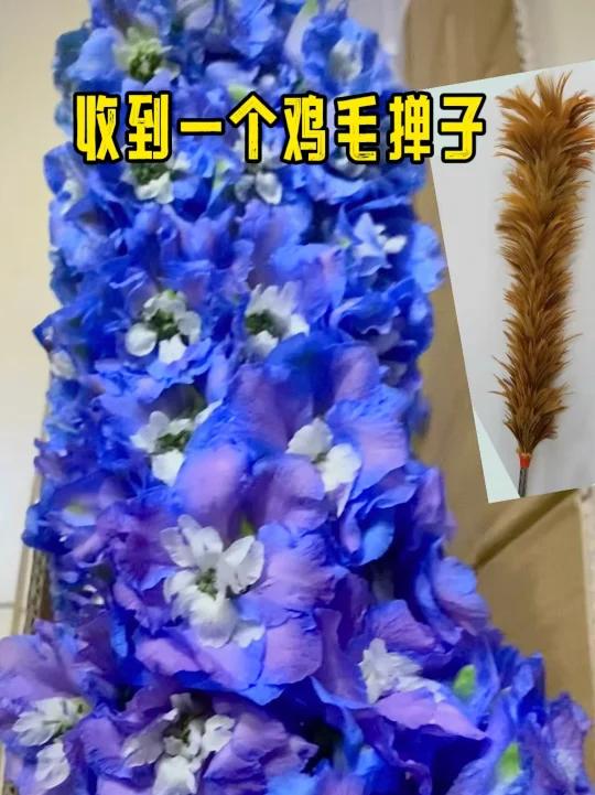 4月第一天,收到一个鸡毛掸子