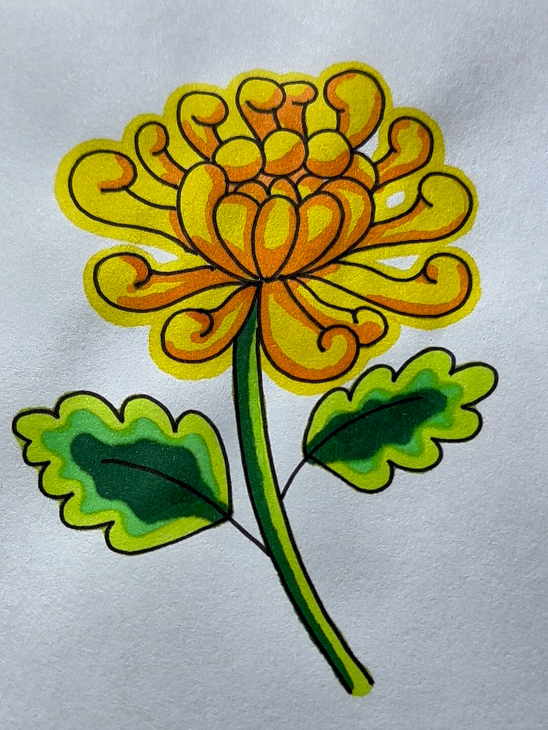 有手就会的菊花简笔画