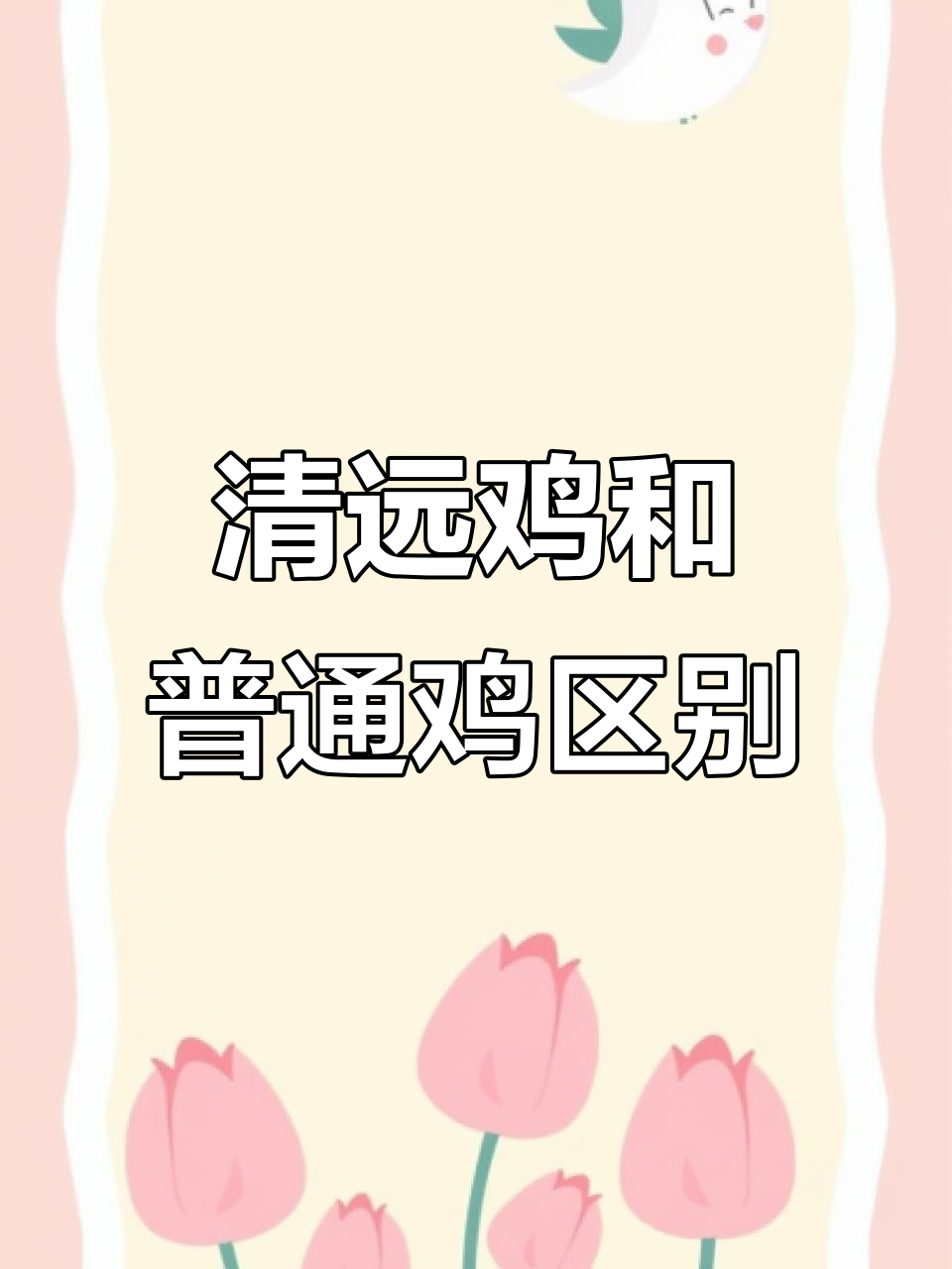 清远鸡与普通鸡肉质口感大不同,风味更鲜美