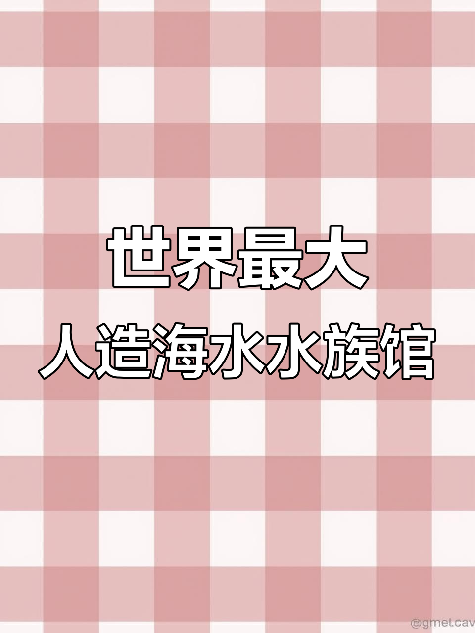 上海海洋水族馆:全球最大海底隧道,珍稀鱼类一网打尽