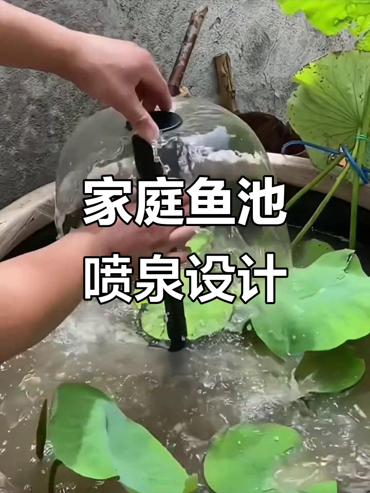 家用鱼池喷泉,轻松打造私家水景乐园