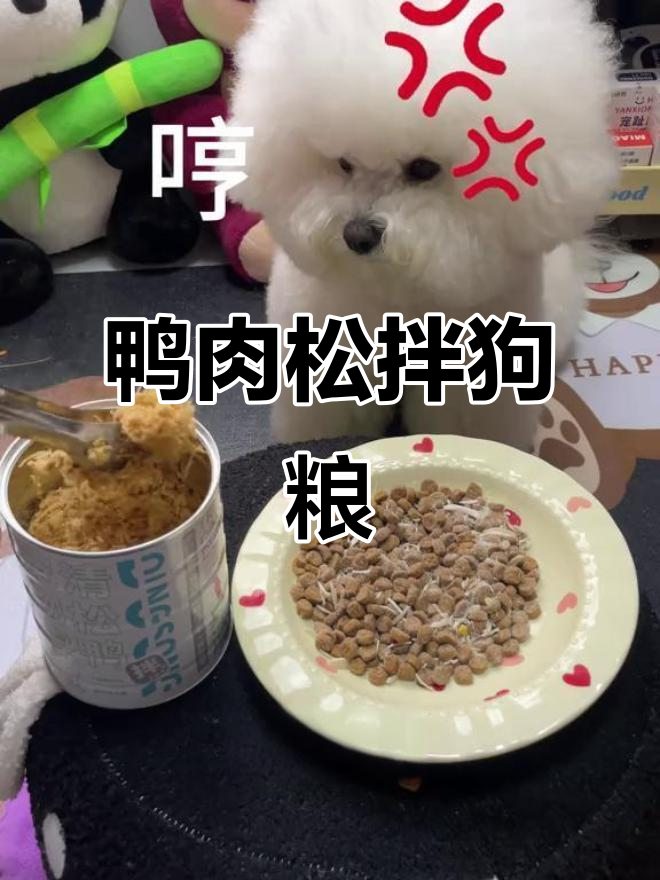 狗狗挑食怎么办?试试这款鸭肉松拌饭,吃得嘎嘎香!