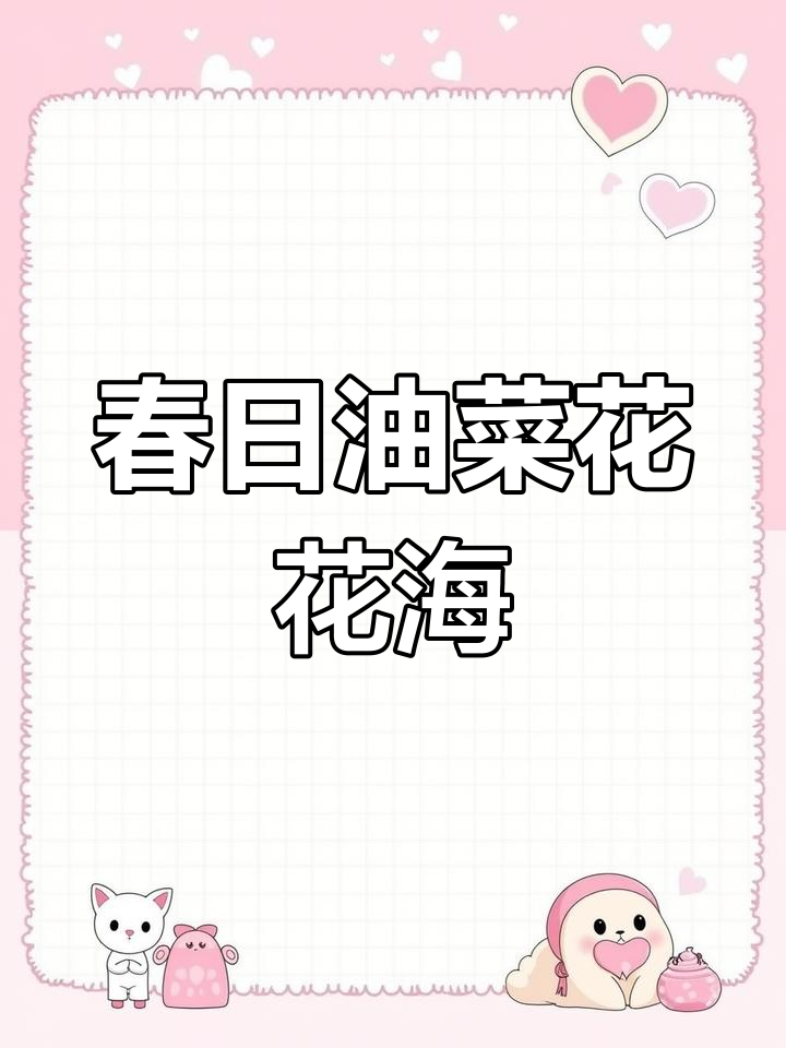 油菜花:春天的美丽使者,十字花的魅力与用途