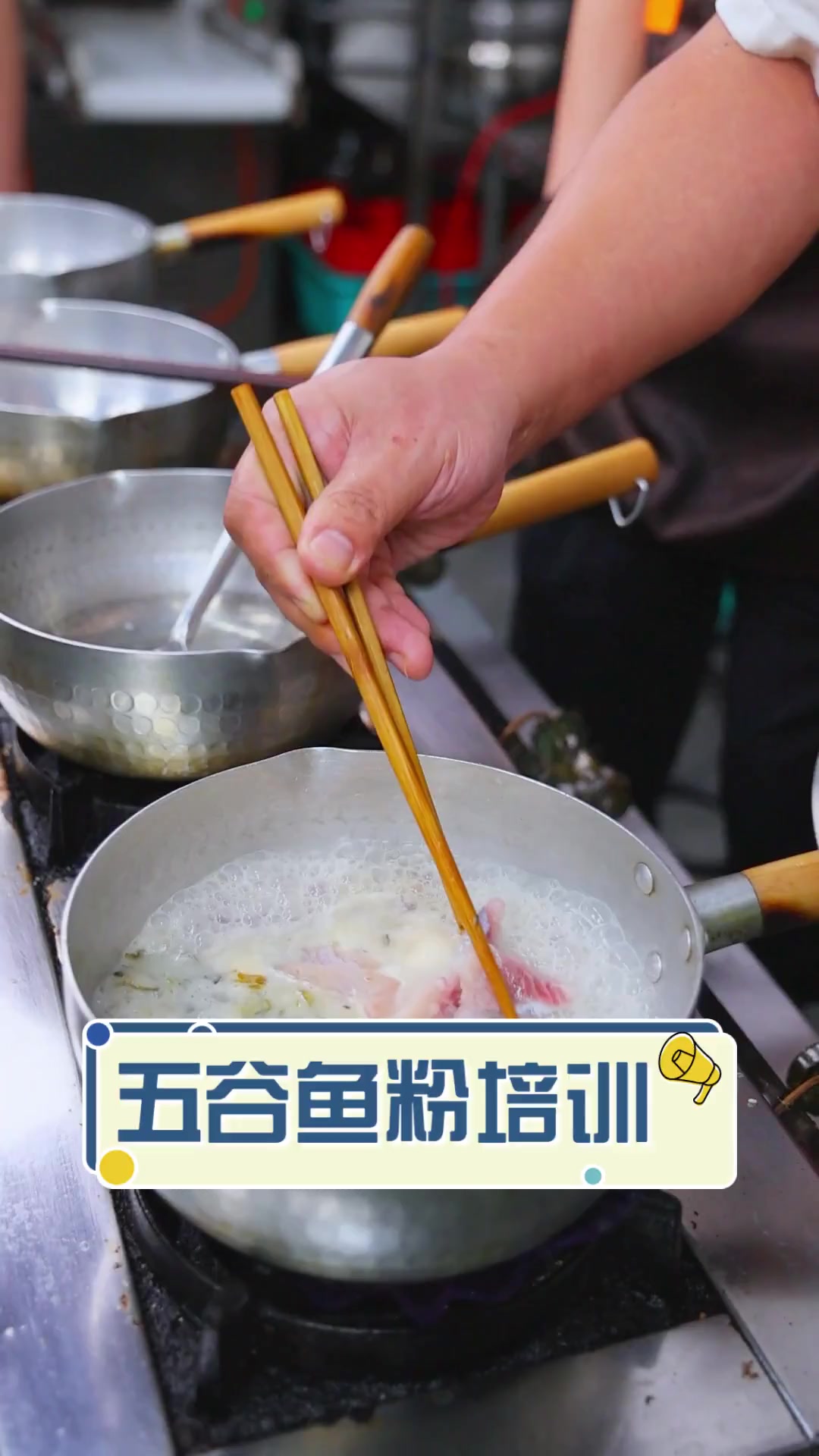 五谷鱼粉培训