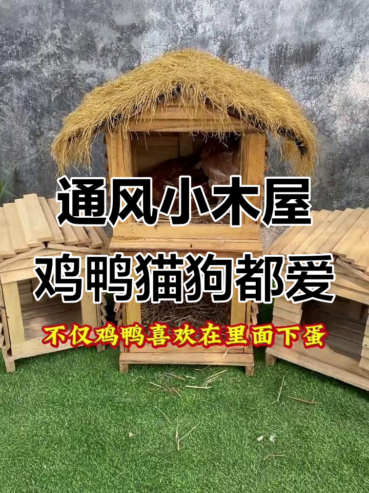 小木屋鸡窝设计,防尘防水又舒适
