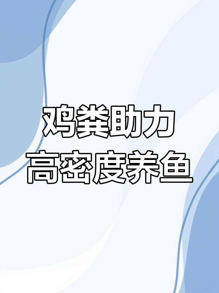 鸡粪养鱼,水质提升又高产!王老板的养殖秘诀