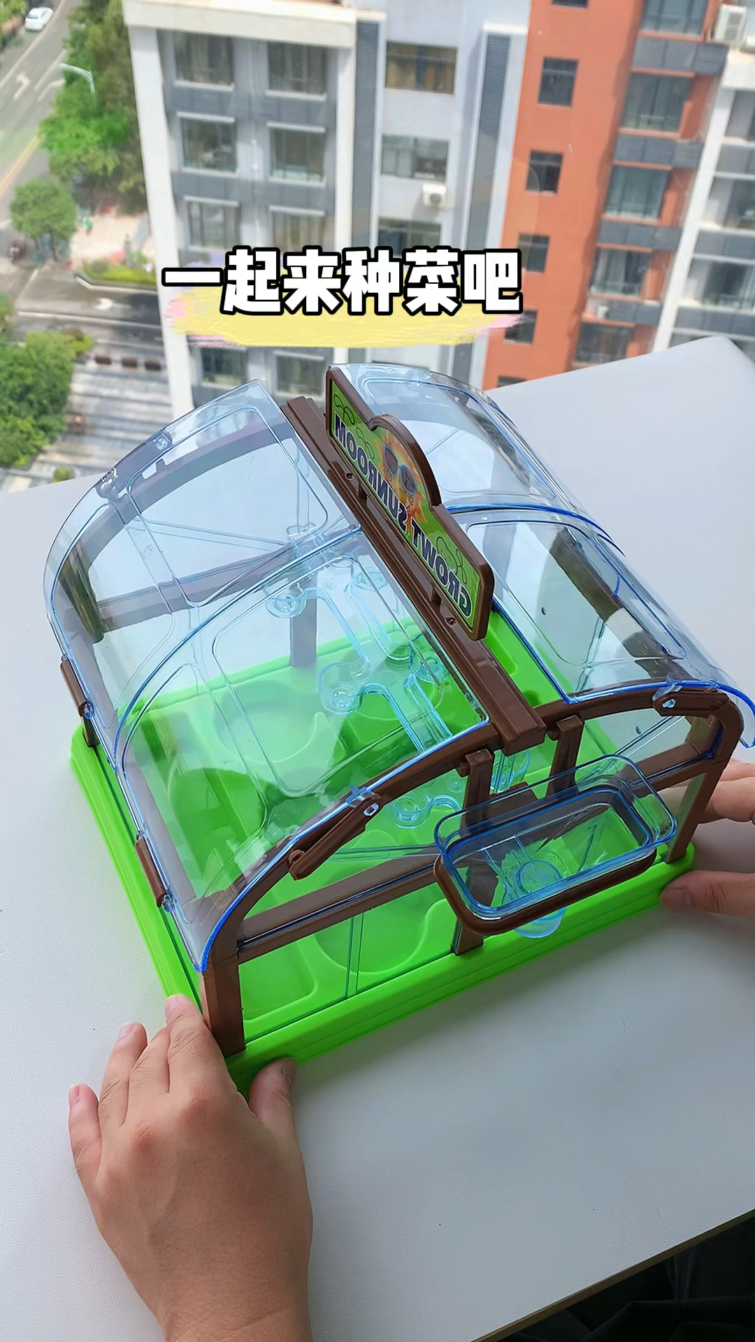 带上孩子来种菜吧亲手种植让孩子近距离观察植物生长过程体验种植