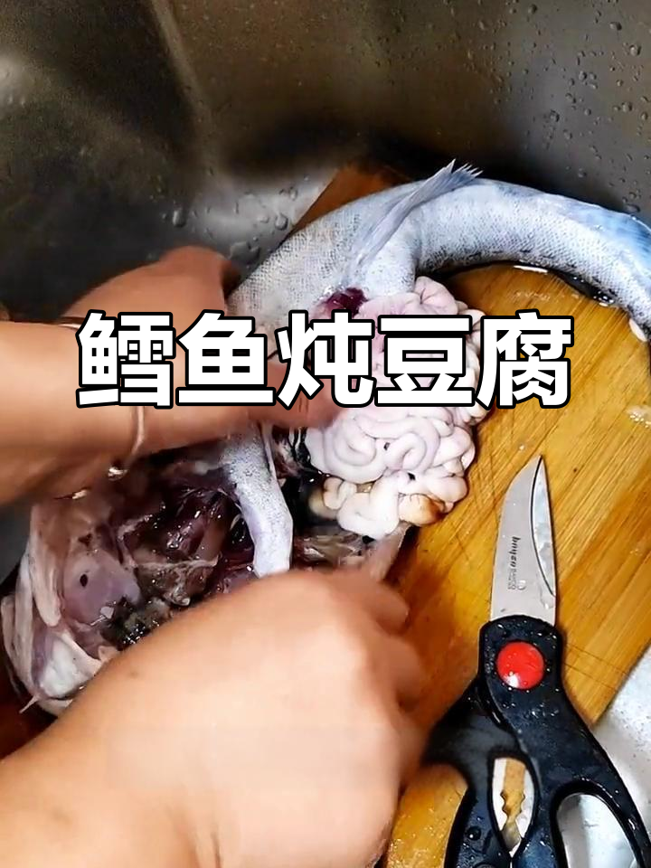 野生鳕鱼炖豆腐,白籽美味不可丢