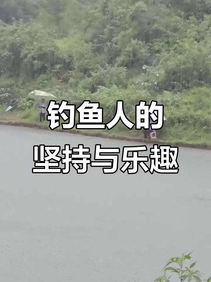 钓鱼人精神:风雨无阻,冷暖自知