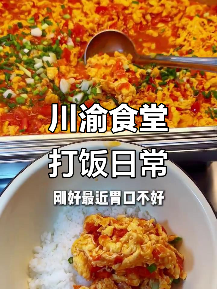 川渝食堂番茄炒蛋盖饭,干饭人必备酸辣羊排与豆角肉片