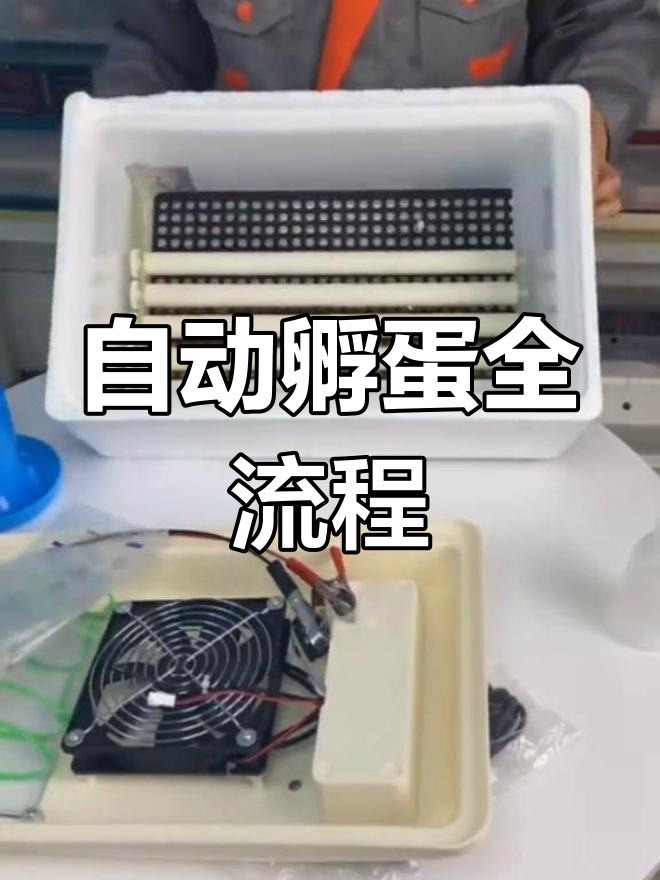 全自动孵化机操作详解:如何提高出壳率与湿度控制