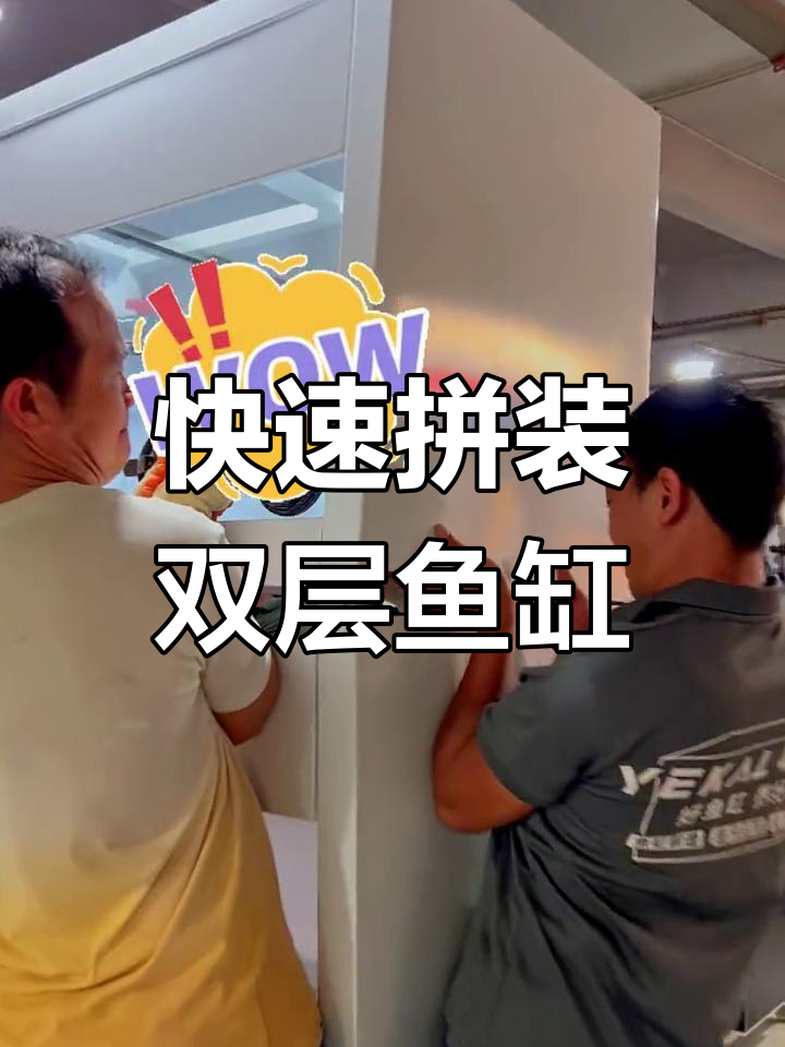 双层鱼缸拼接技巧,轻松打造完美水族环境