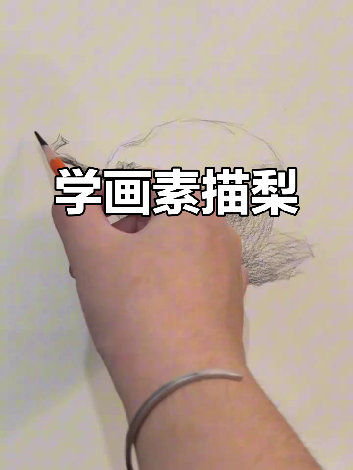 素描梨画法全解析,轻松掌握明暗过渡