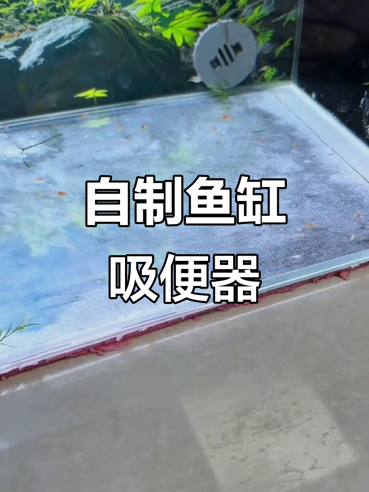 利用废洗面奶瓶DIY鱼缸吸便器,简单又实用