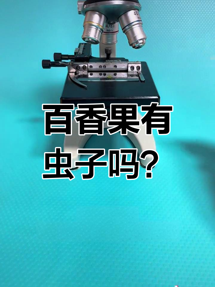 百香果里的神秘小虫,显微镜下揭秘真相