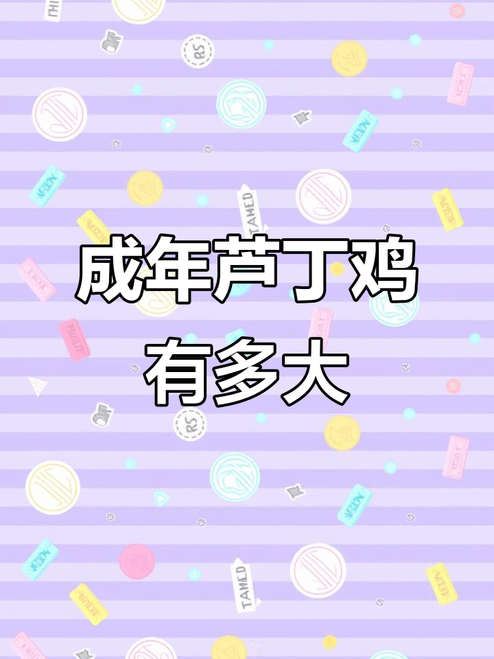 成年芦丁鸡竟然这么大,简直超乎想象!