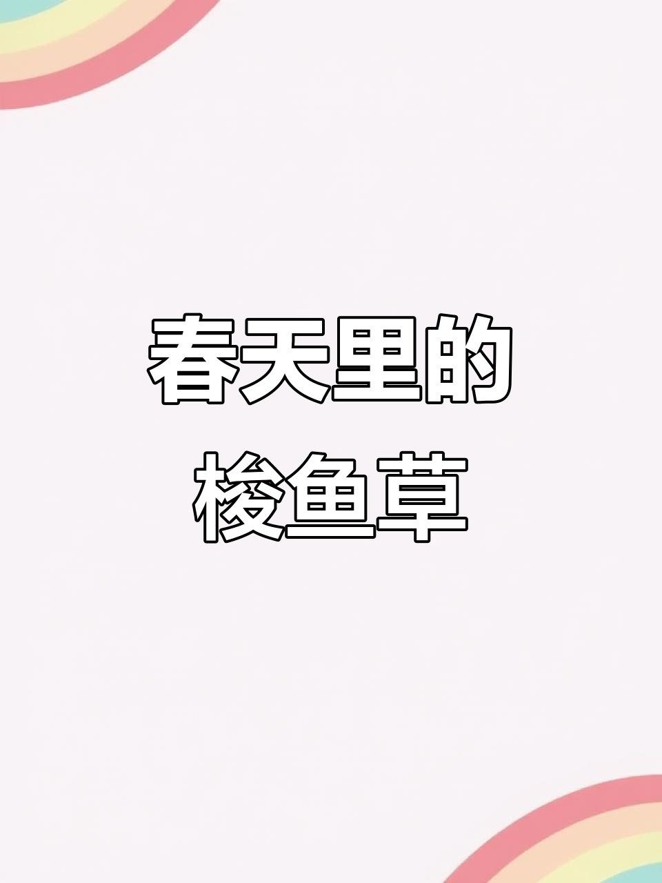 春日水生花海,梭鱼草美化景观又净化水质