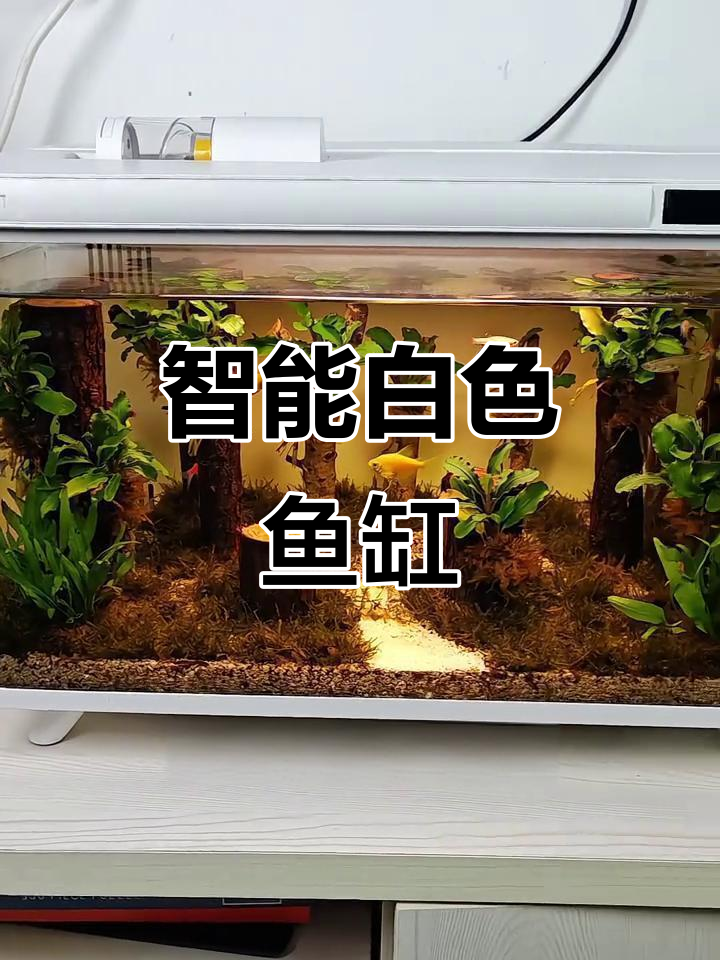 这款智能鱼缸,简洁白色设计,轻松接入米家生态