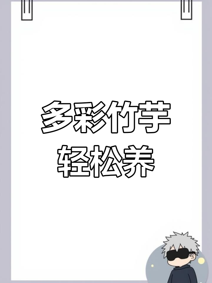 彩虹竹芋:叶子如彩带般美丽,低养护高回报