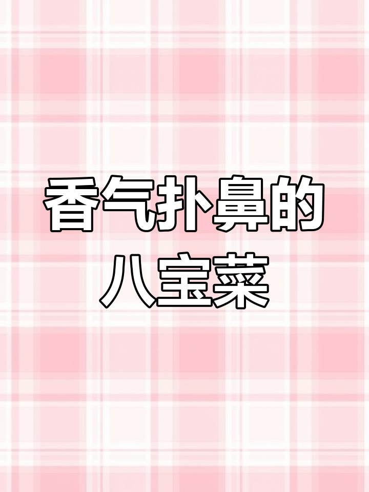 一锅八宝菜,家常味十足,简单又美味