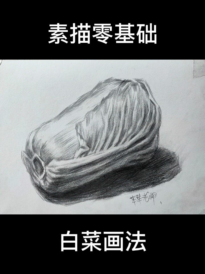 素描零基础素描白菜