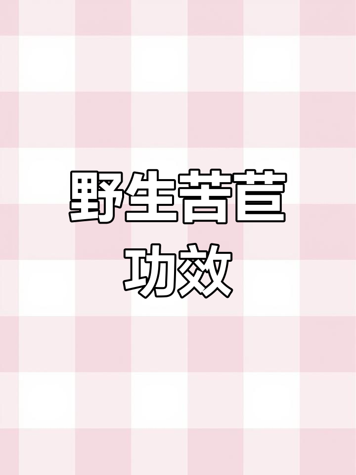 野菜天然,苦苣清热降三高,消肿止痢效果显著