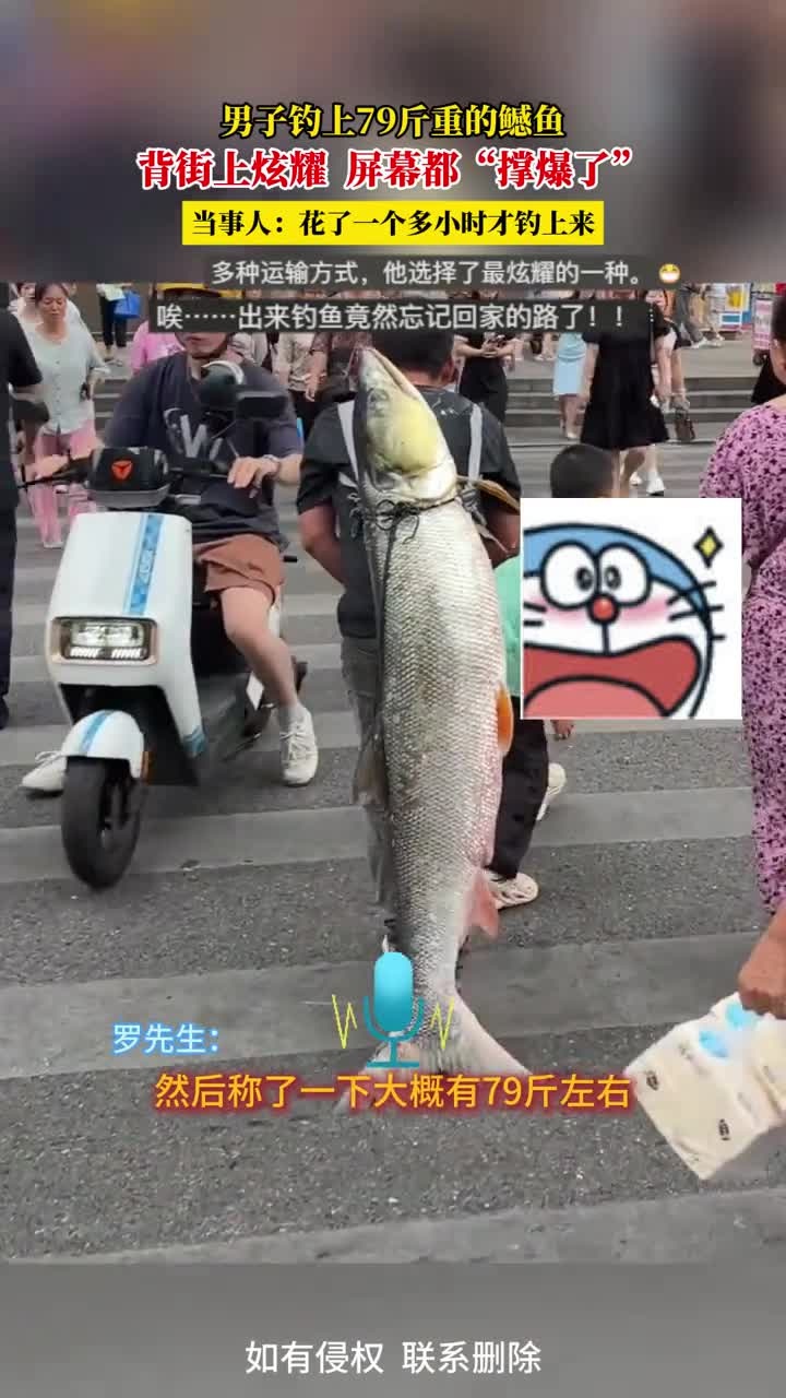 男子钓上79斤重的鳡鱼,背街上炫耀,屏幕都“撑爆了”,当事人:花了一个多小时才钓上来
