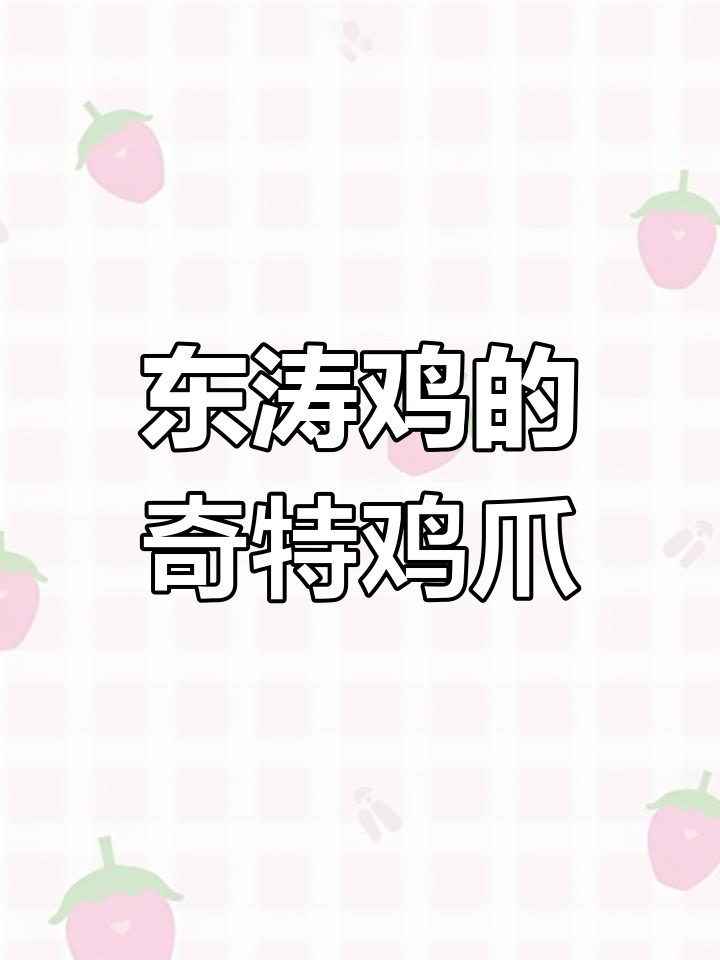 越南东涛鸡:一双怪异大脚让身价倍增,竟能卖千元