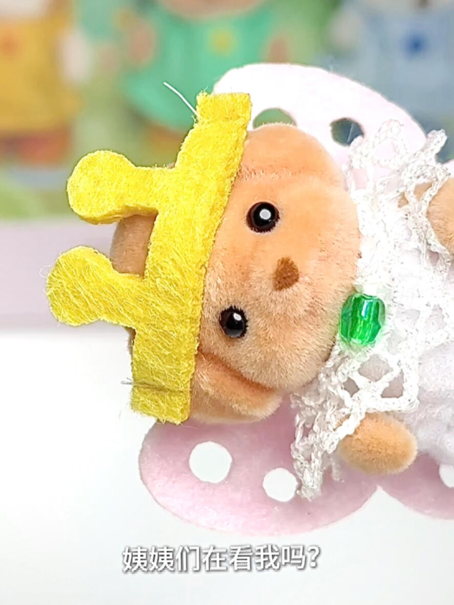 森贝儿的贵宾犬到底是怎么火起来的