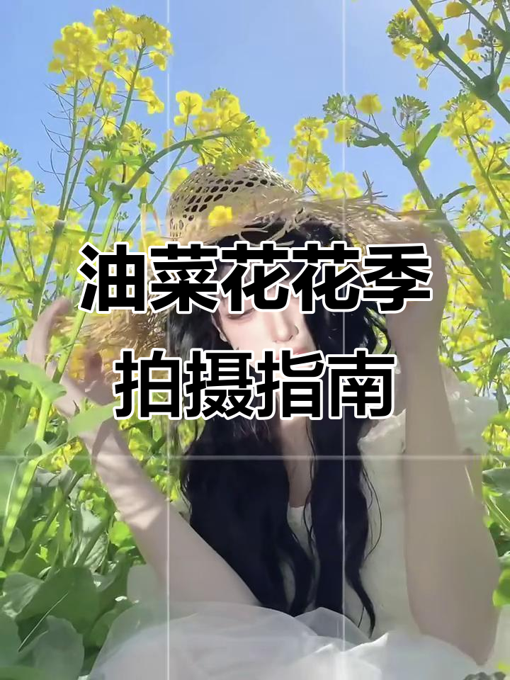 春日油菜花拍照技巧,教你拍出美丽姿势