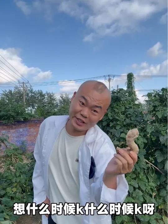 好客皖北欢迎你啊妹妹