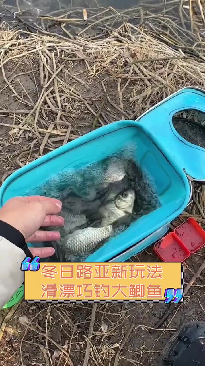 冬日路亚新玩法,滑漂巧钓大鲫鱼