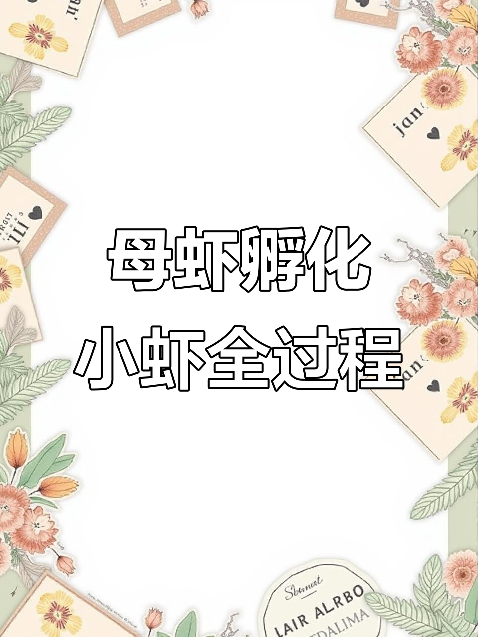 从一只龙虾到一大家族,生命的奇迹就在眼前