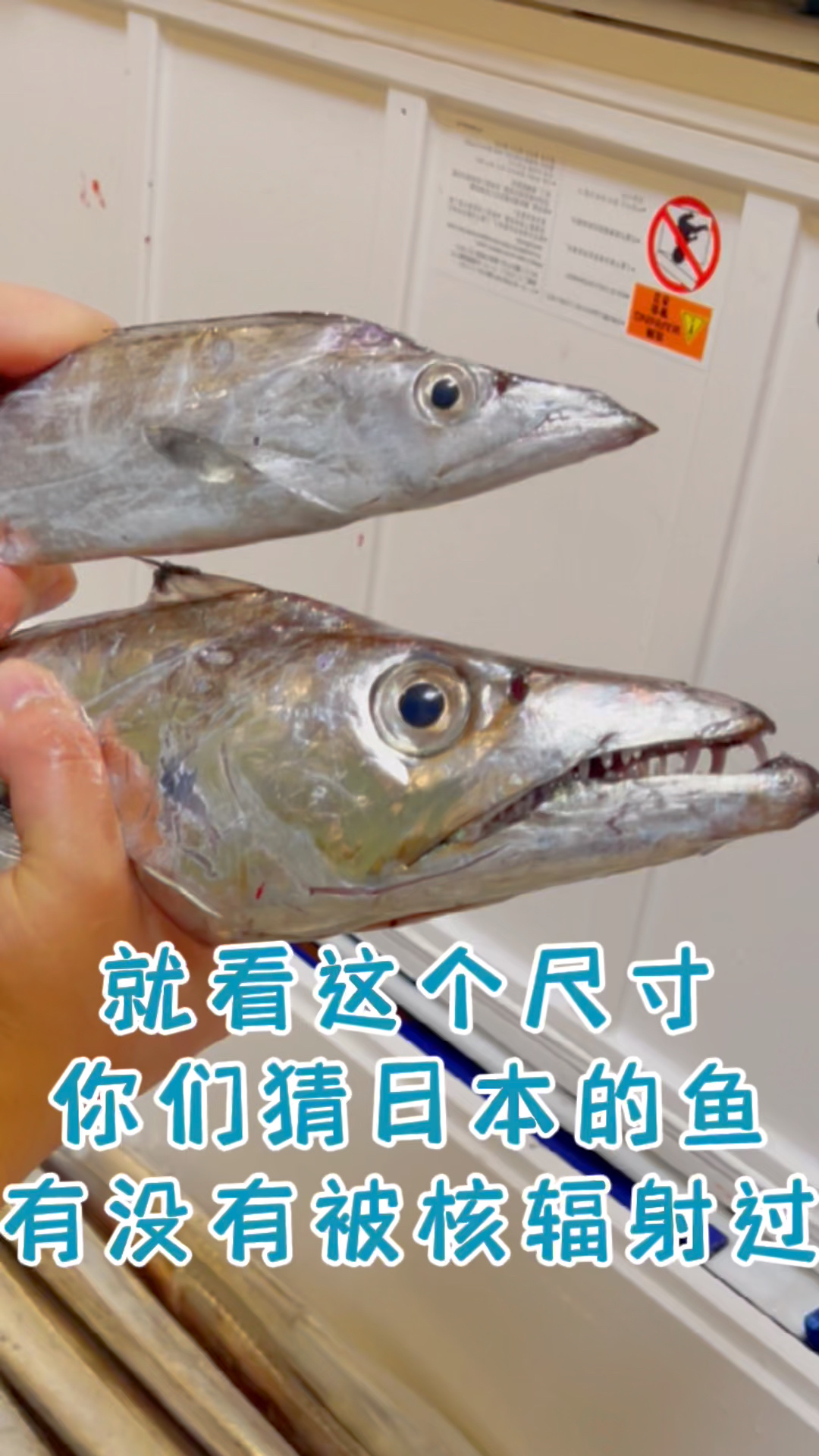 核辐射带鱼新吃法