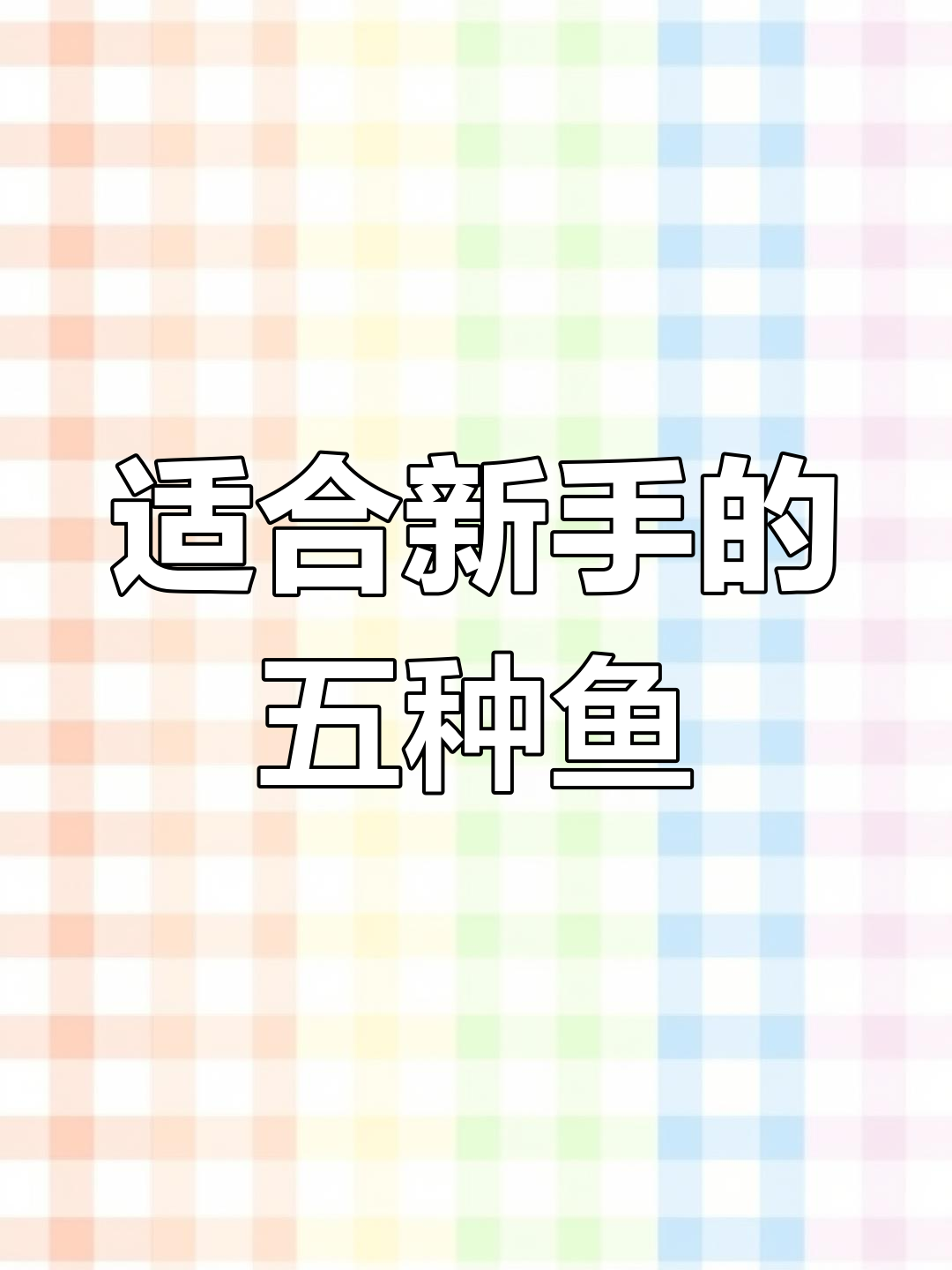 新手必选5种底层观赏鱼