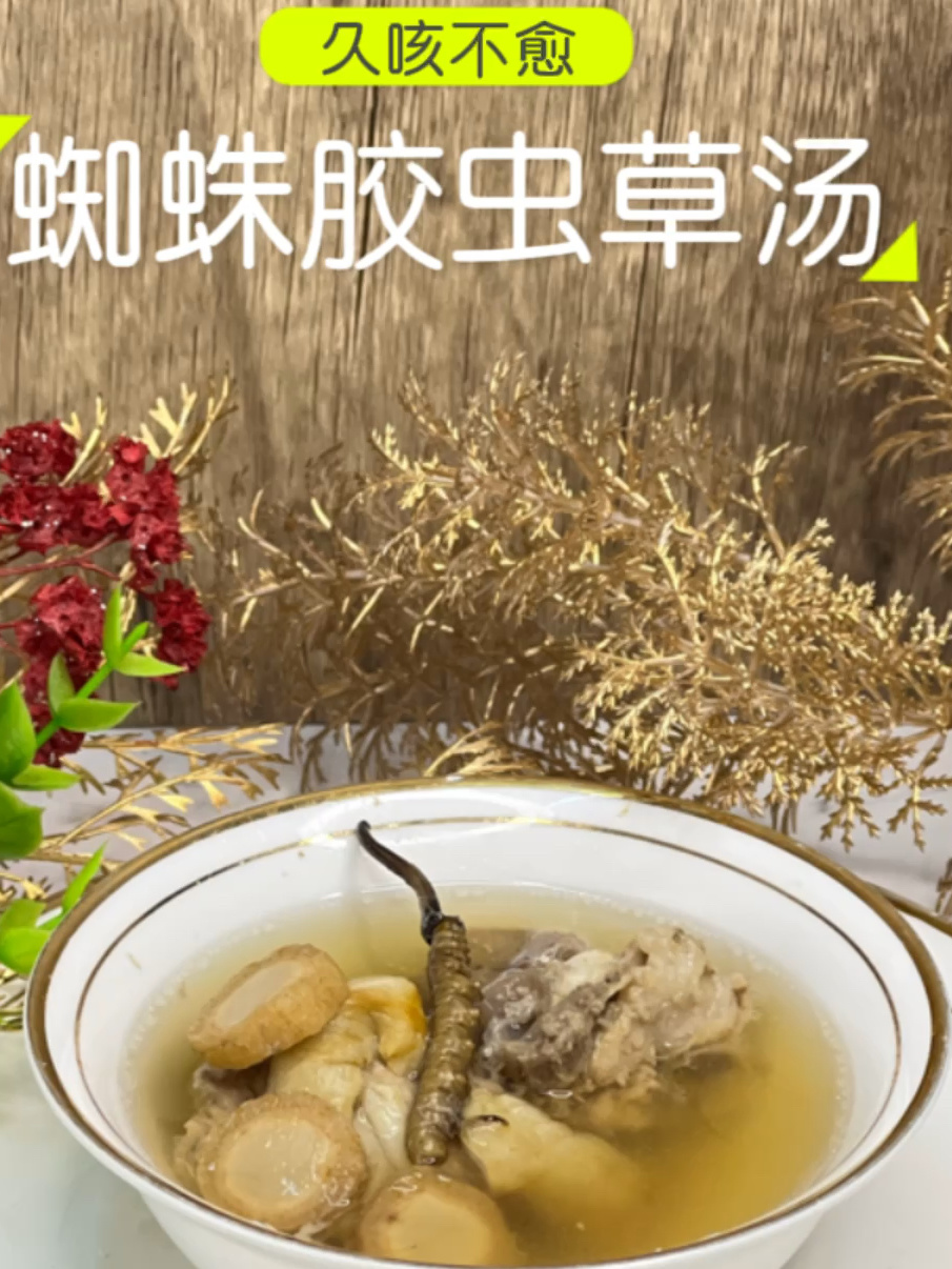 久咳不愈,不知名咳嗽都合适的蜘蛛胶虫草汤