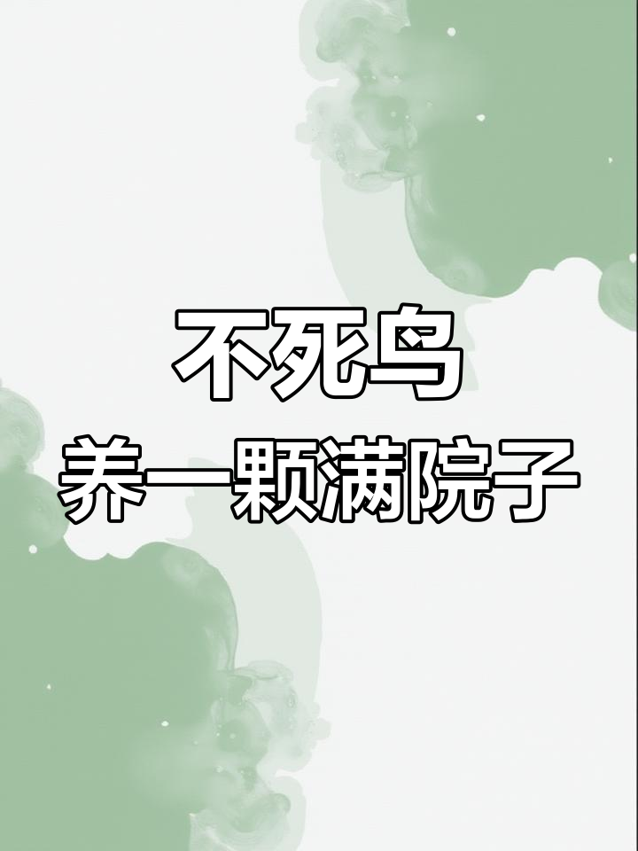 养不死鸟,一碰就爆盆!多肉植物养护小技巧