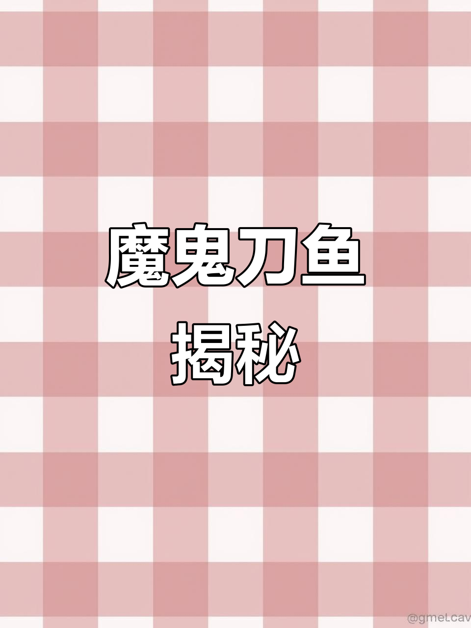 黑羽毛魔鬼刀:夜行电鳗,攻击性强却温和