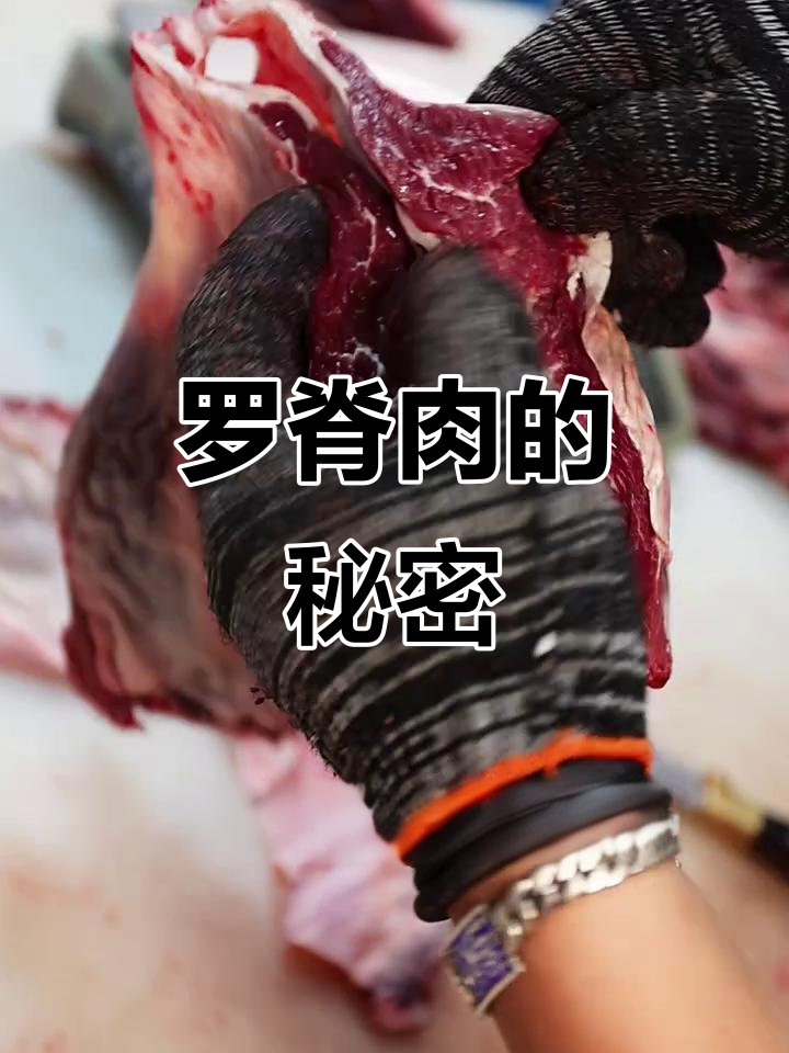 牛的逻辑肉到底在哪?蛋白质丰富,口感鲜嫩