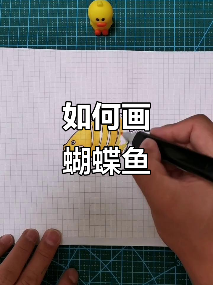 轻松画出栩栩如生的蝴蝶鱼,步骤详解!
