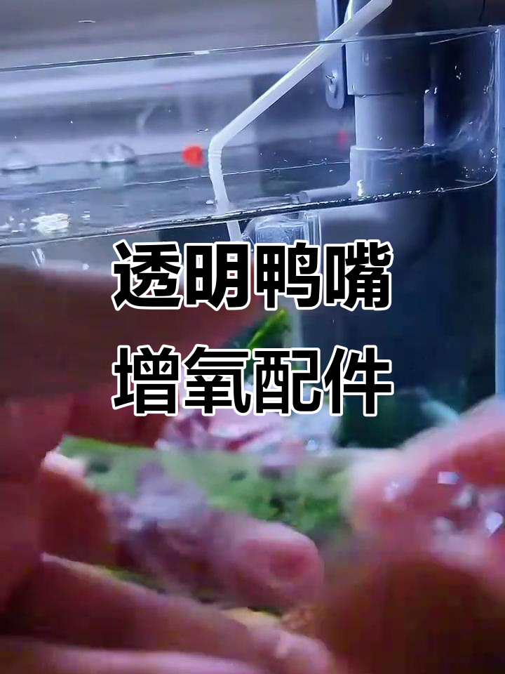 鱼缸改造必备:透明鸭嘴增氧出水口,轻松调节氧气大小