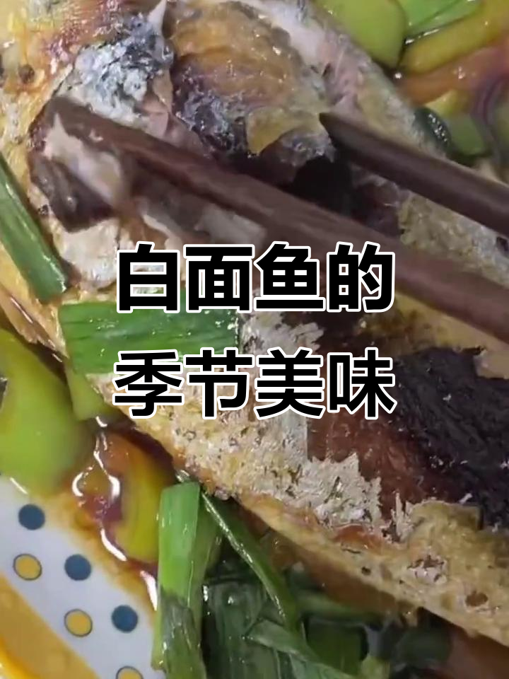 季节美味,白面鱼做法大公开,价格亲民,赶紧试试吧!