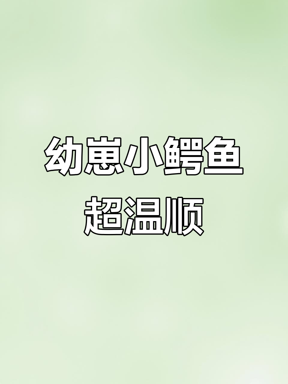 小鳄鱼苗太乖了，轻松上手摸它也不反抗